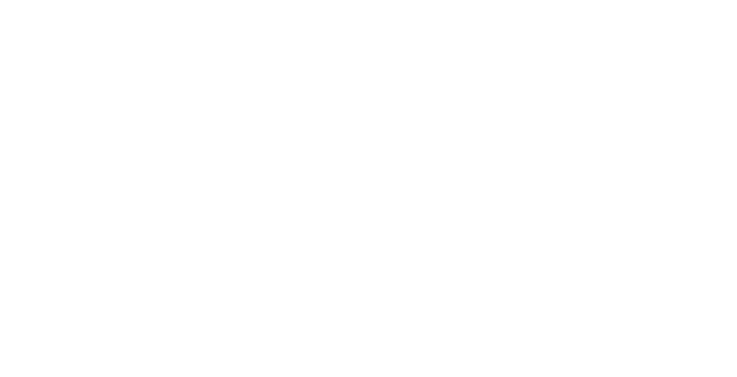 Steffen Hahn